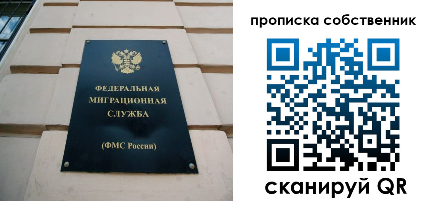 прописка законно в Петровске